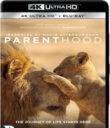 4K蓝光原盘ISO 宝贝星球[英版原盘 简繁、双语字幕 1-5集 双碟]Parenthood 2025 S01 2160p UHD Blu-ray HEVC DTS-HD MA 5.1[142.70GB]