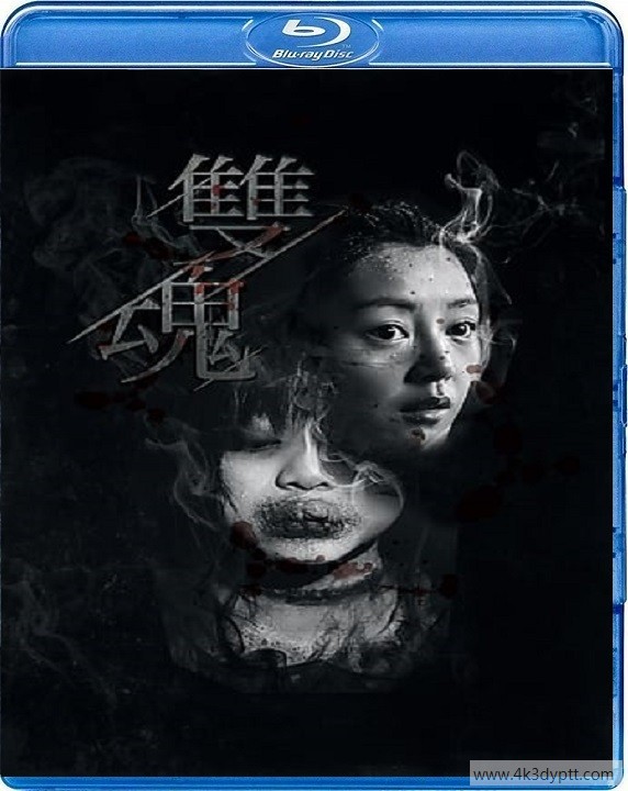 2d双魂.jpg
